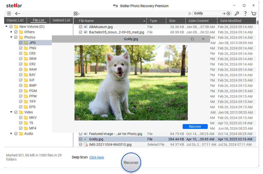 Preview & Recover